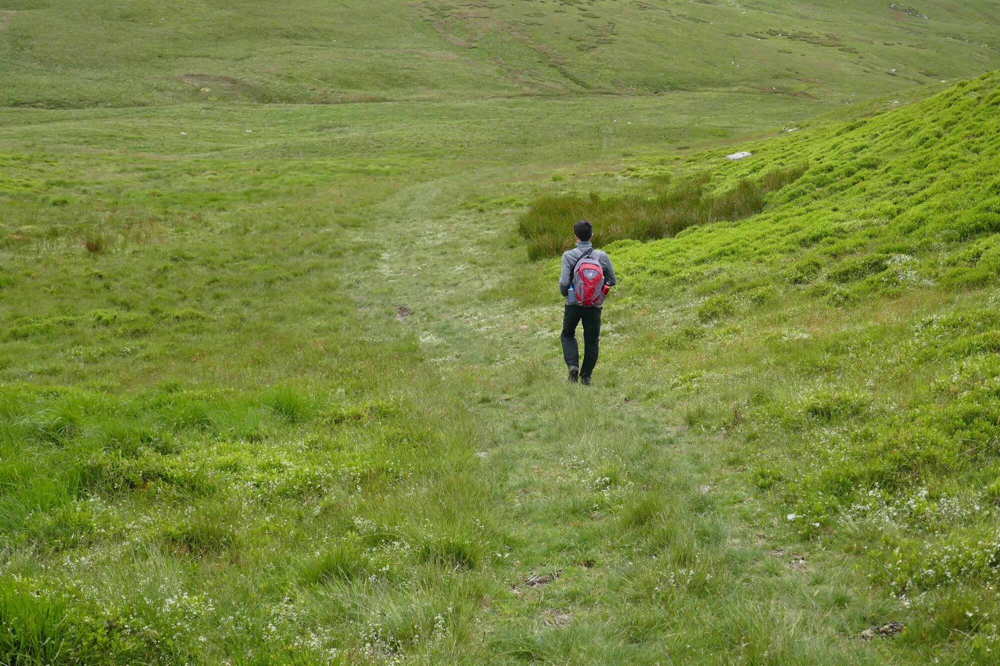RachelSeabrook.net | Wild Walking | Cwmystwyth | pic42